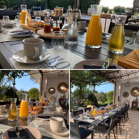 A L'oree Des Vignes 3* Montady